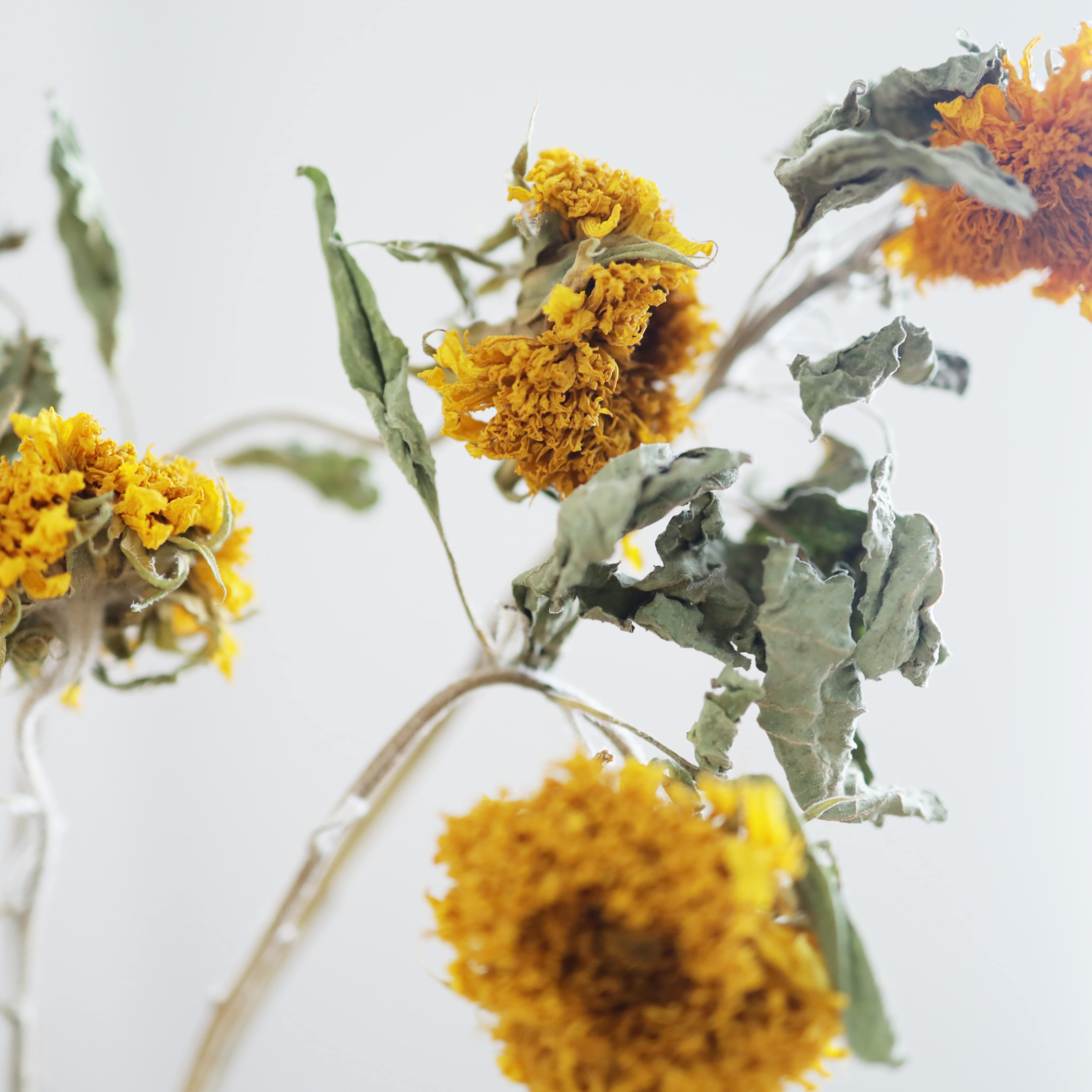 ひまわり様 リクエスト 4点 まとめ商品 夏のひまわり様 リクエスト 4点