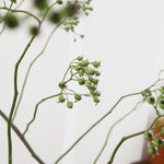 【今季最終出荷9/3まで！・出荷日指定商品】［フレッシュな状態でお届け］野ばらの実 110㎝