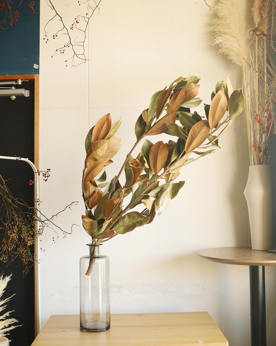 ［BIGボタニカル｜ドライ］マグノリア