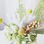 季節のドライフラワー定期便＜ごきげんプラン＞２ヶ月に１度のお届け