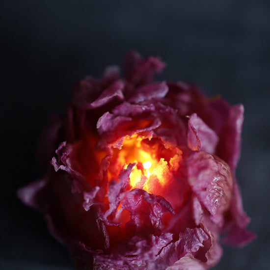 ［芍薬で歴史を飾る vol.3 ヨーロッパ］蝋引き芍薬のランプ