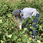 ［イベントご予約フォーム］小さなテキサスの自由研究・収穫ワークショップ　in 岡山県赤磐市