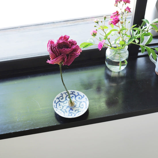 ［芍薬で歴史を飾る vol.1 日本］芍薬と剣山