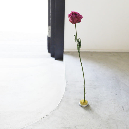 ［芍薬で歴史を飾る vol.1 日本］芍薬と剣山