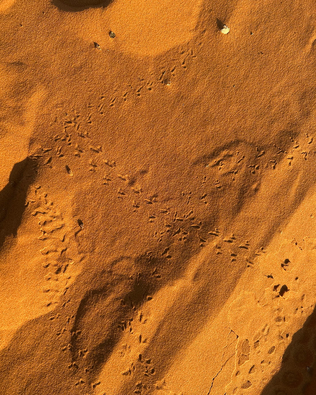 旅するスワッグ Morocco＜マラケシュの赤＞