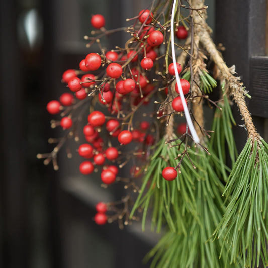 【12月中旬～順次発送】＜内に咲く＞根引松・南天の実のお正月飾り*