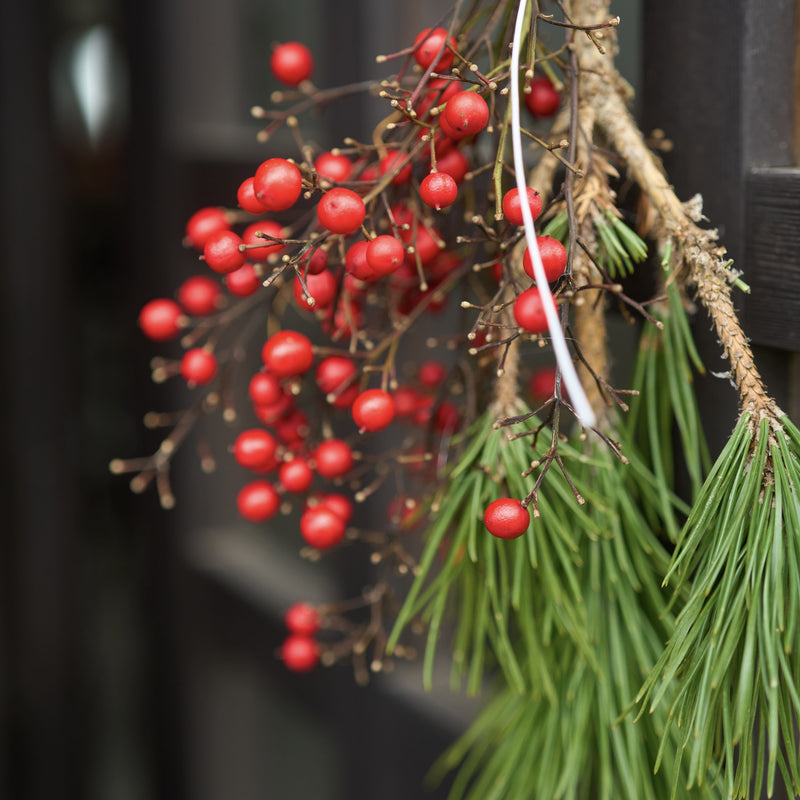 根引松のはじまりは平安時代