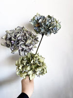 ニュアンスカラーのミニ紫陽花（3本セット）
