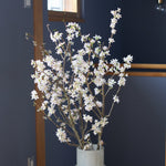 【今季販売終了】［フレッシュフラワー］花開く姿を楽しめる啓翁桜