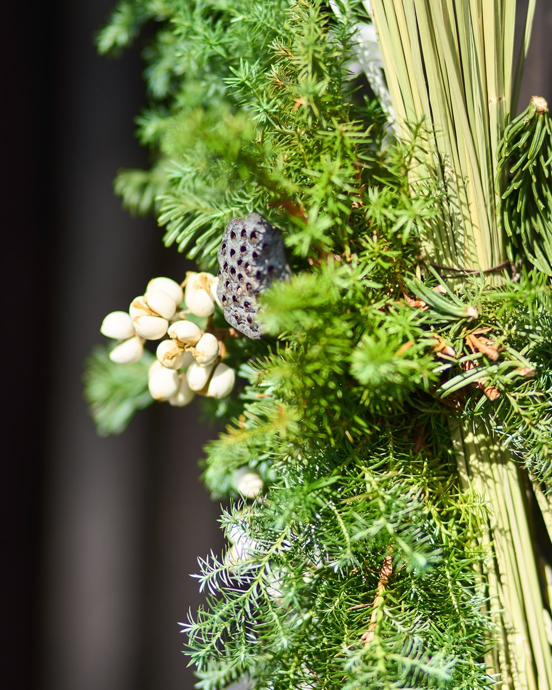 【12月中旬～順次発送】実りを結ぶ、千歳緑のお正月飾り