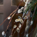 【数量限定】＜きらめく＞しめ縄・ネコヤナギ・ナンキンハゼのお正月飾り