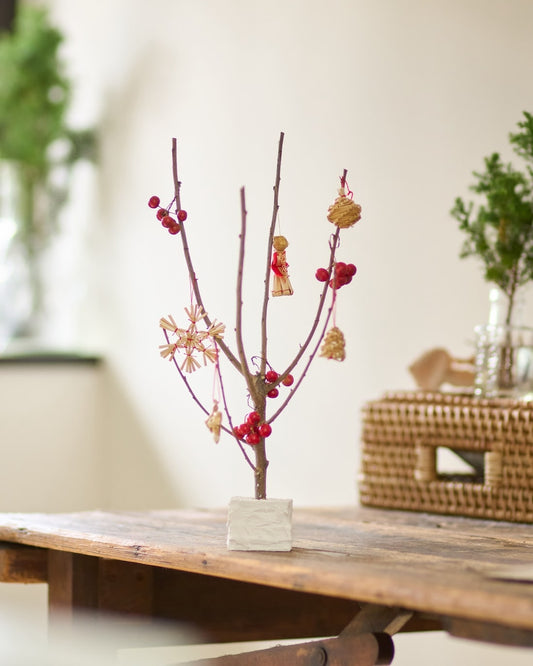 【12/10まで！】飾って楽しむ、ちいさな冬のクリスマスツリー