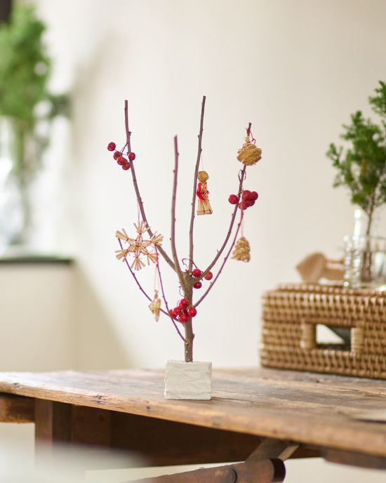 【12/10まで！】飾って楽しむ、ちいさな冬のクリスマスツリー