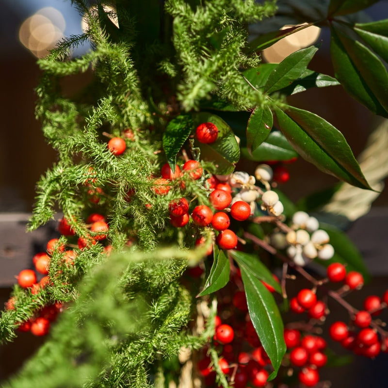 みずみずしいグリーンに心惹かれる