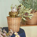 ［インテリア・雑貨／アパレル］Willow basket フラワーポット