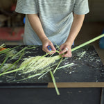 ［BIGボタニカル｜ドライ］パンパスグラス 150-160cm