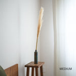 ［ドライフラワー］パンパスグラス