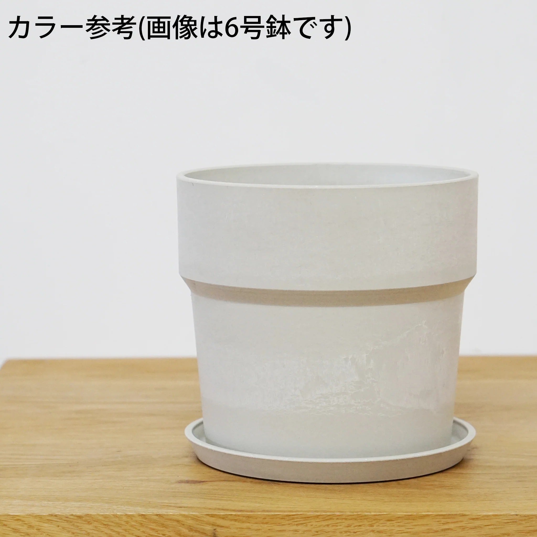 アーバンプランツポット 商品ページ - 土と風の植物園