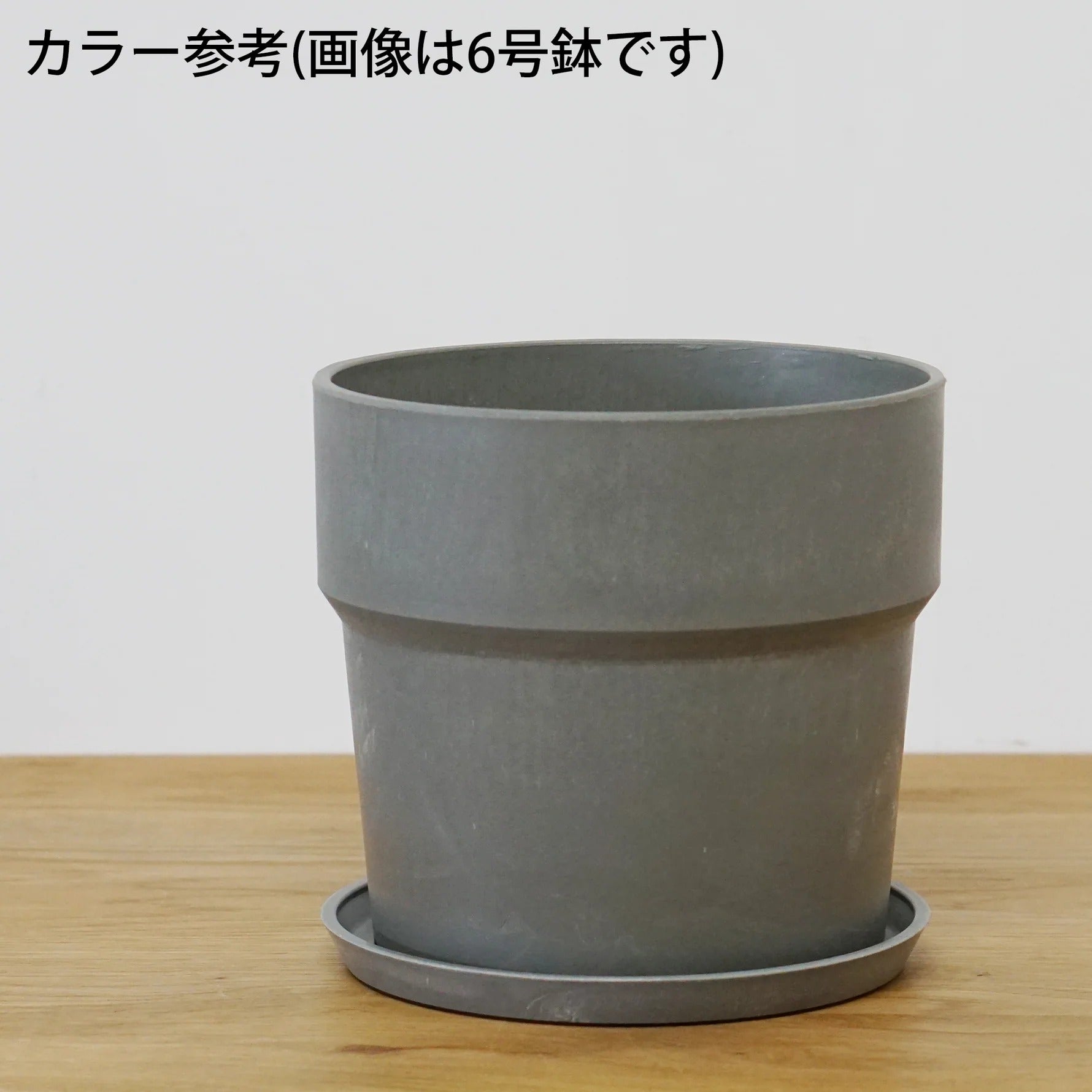 アーバンプランツポット 商品ページ - 土と風の植物園