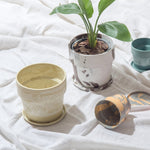 ［雑貨］アーバンプランツポット