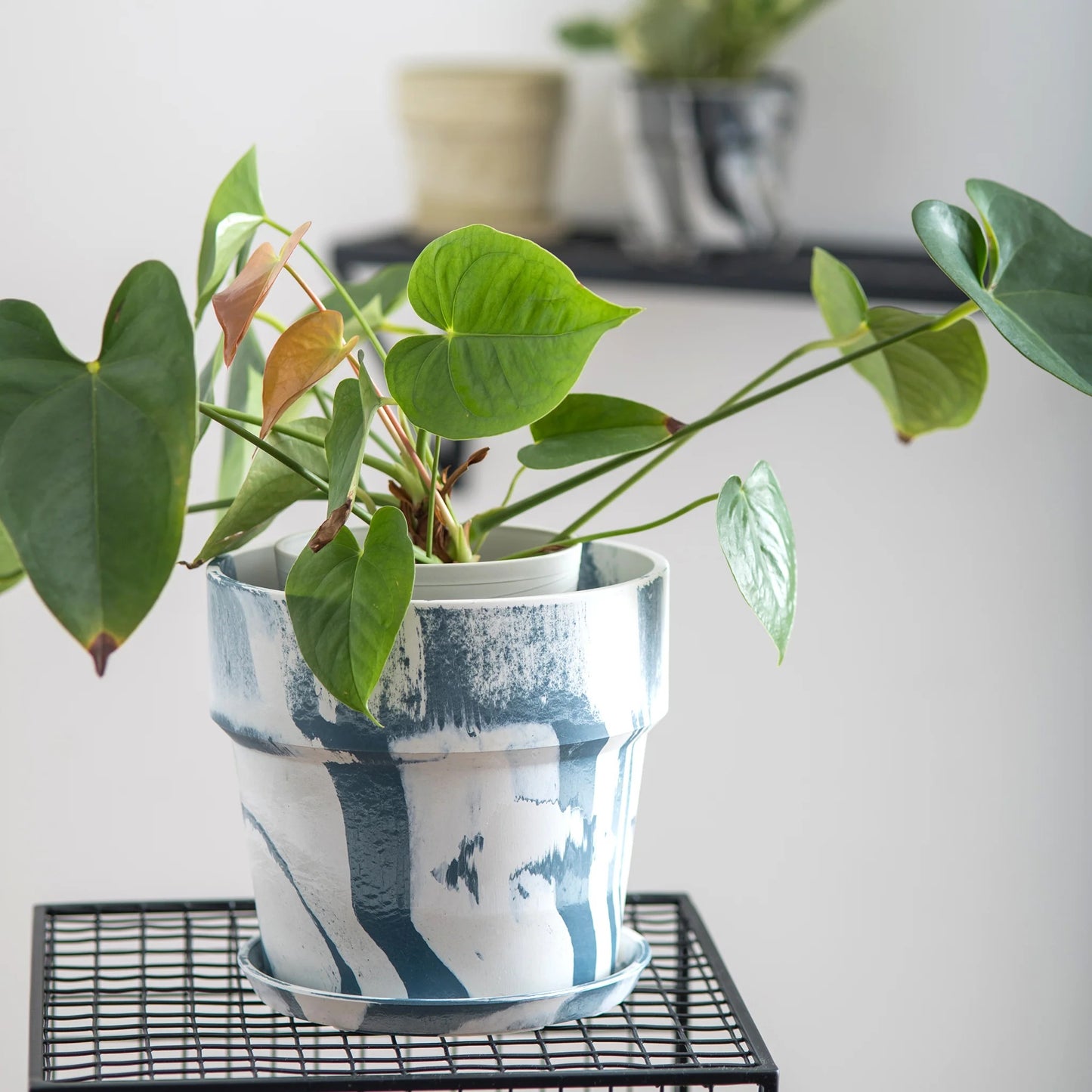 ［雑貨］アーバンプランツポット