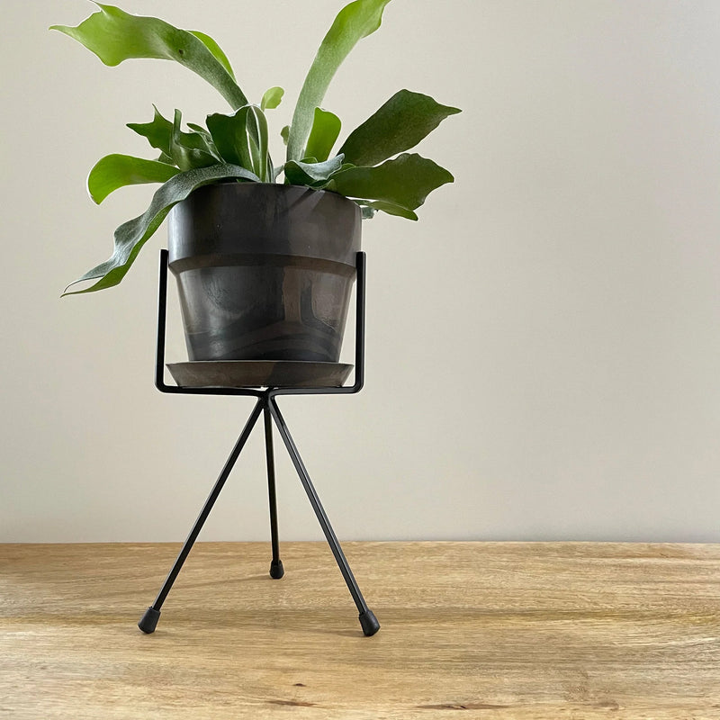 お部屋にメリハリ生まれる、植木鉢スタンド