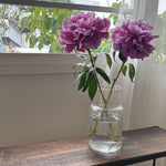 ［フラワーベース］口が広くて活けやすい、リューズガラスの花びん（ネック）
