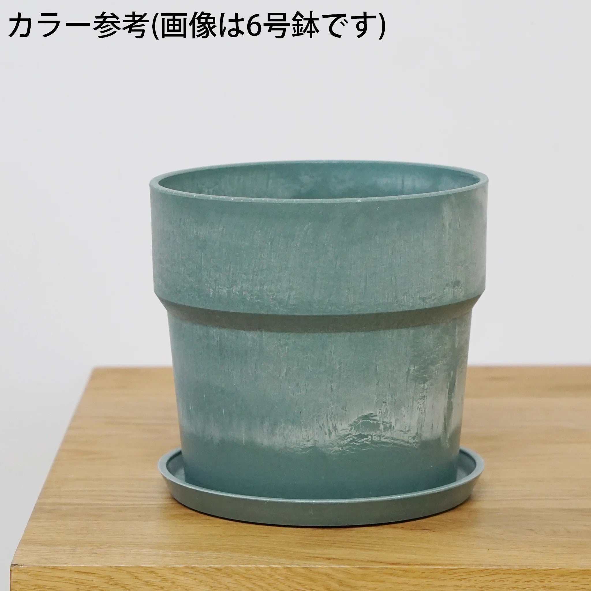 アーバンプランツポット 商品ページ - 土と風の植物園
