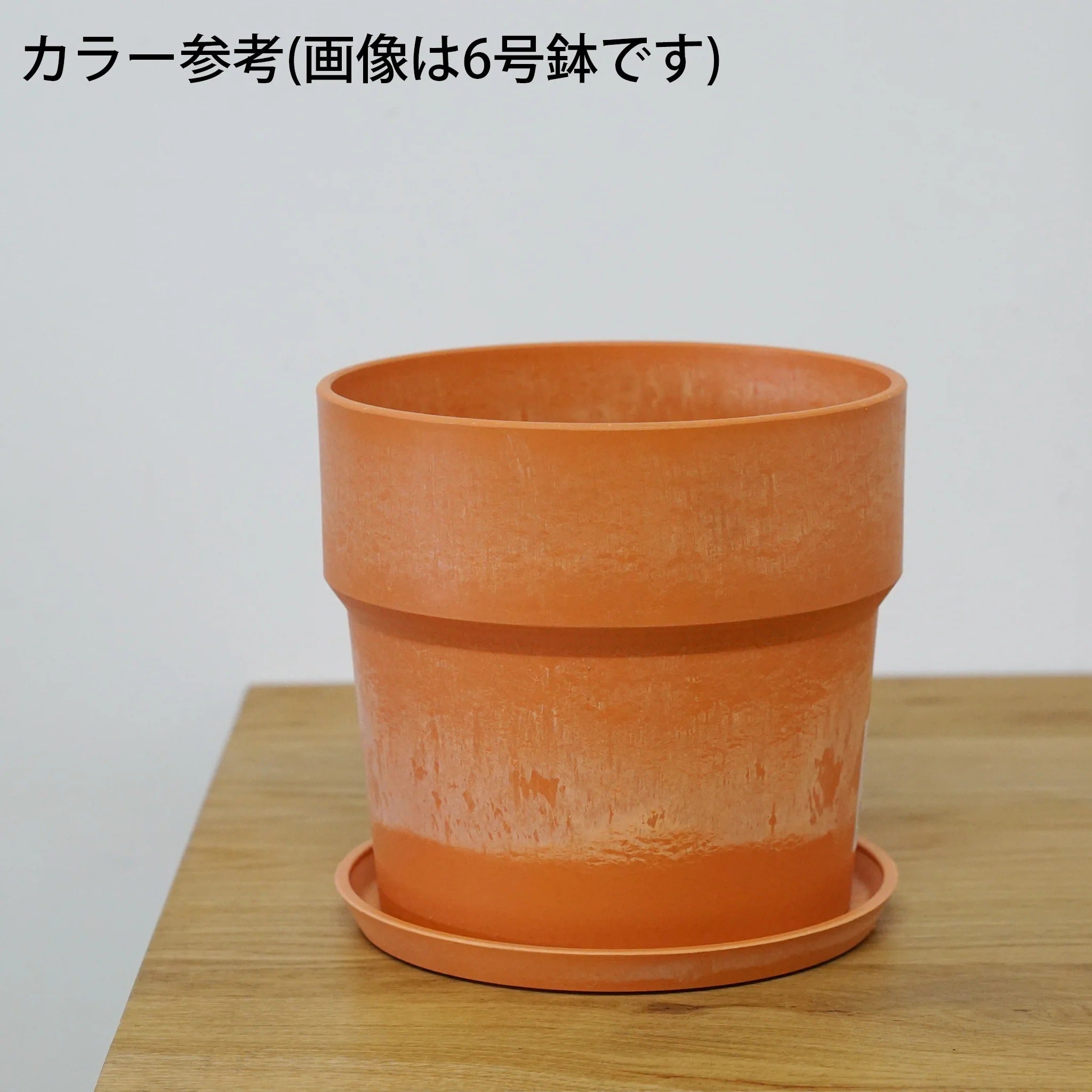 アーバンプランツポット 商品ページ - 土と風の植物園