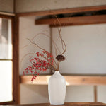 ［ドライフラワー］雲竜柳