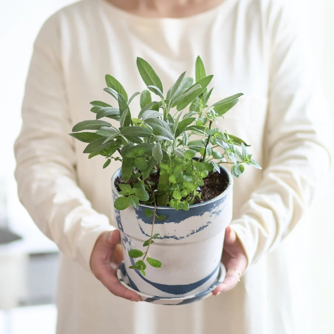 ［雑貨］アーバンプランツポット