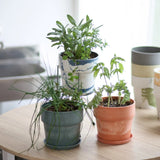 ［雑貨］アーバンプランツポット