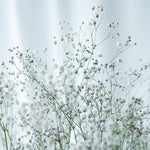 ＜Happy Ever After＞カスミソウのブーケ