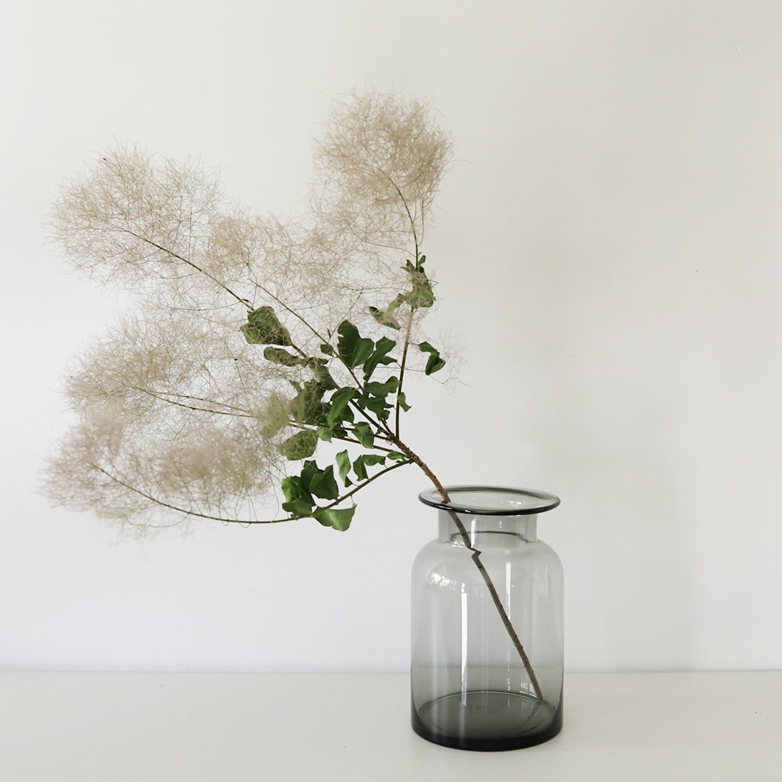 ガラス花瓶２つセット - 植物/観葉植物