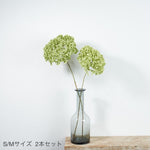 ［ドライフラワー］紫陽花 アナベル