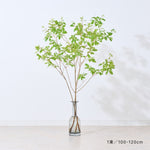 【出荷日指定商品】［フレッシュな状態でお届け］ドウダンツツジ