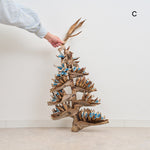 ［BIGボタニカル｜ドライ］タビビトノキ　