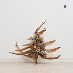 ［BIGボタニカル｜ドライ］タビビトノキ　