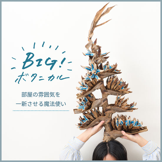 ʚïɞ•*✲BIGな❣❣ボタニカル✲スワッグ✲ドライフラワーʚïɞ•