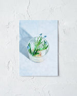 送料無料｜［雑貨］春待つ球根のポストカード／3枚セット