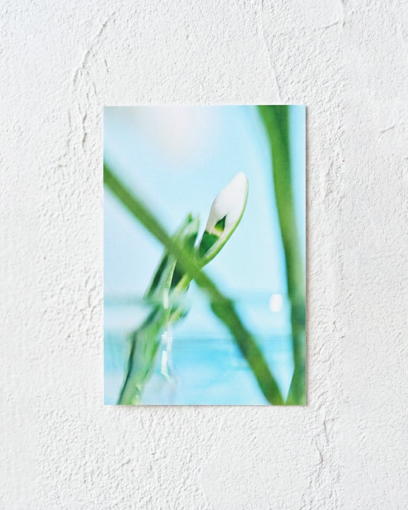 写真ではじめる、植物のある暮らし