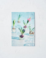 送料無料｜［雑貨］春待つ球根のポストカード／3枚セット