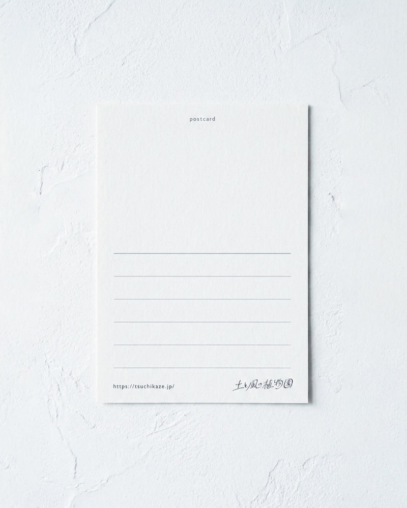 裏面には、あなたの気持ちを