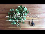 ＜ミルフィーユ＞ユーカリ ポポラスのリース