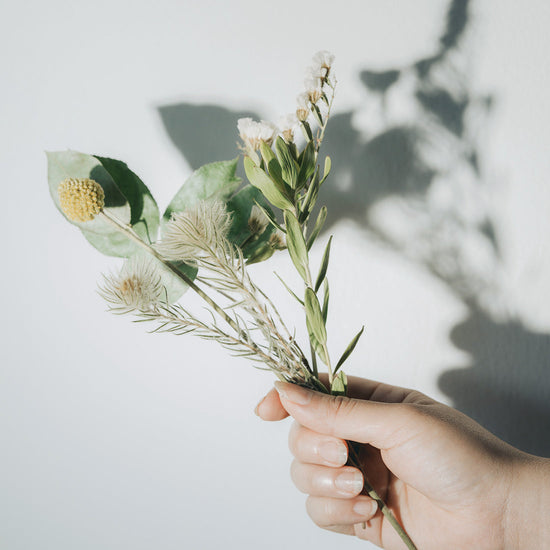 季節のドライフラワー定期便＜はなうたプラン＞