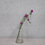 ［ドライフラワー］千日紅