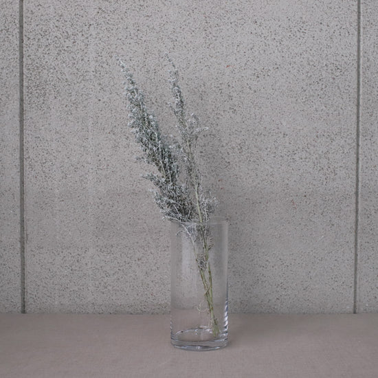 ［ドライフラワー］コチア