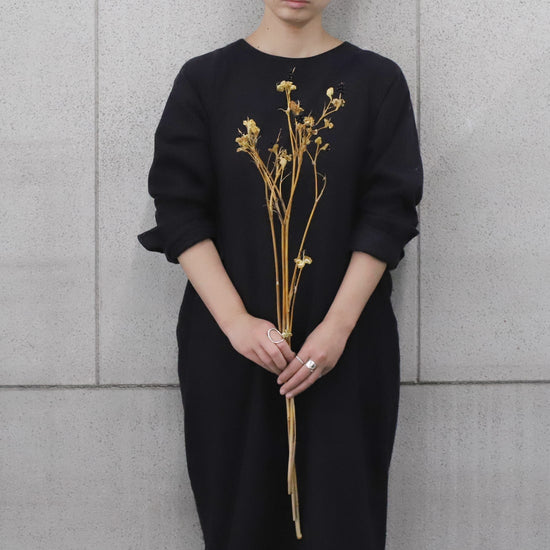 ［ドライフラワー］ヒオウギの実