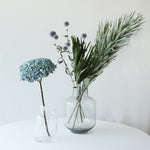 ［ドライフラワー］紫陽花  西安アンティークブルー＜クロダナーセリー＞