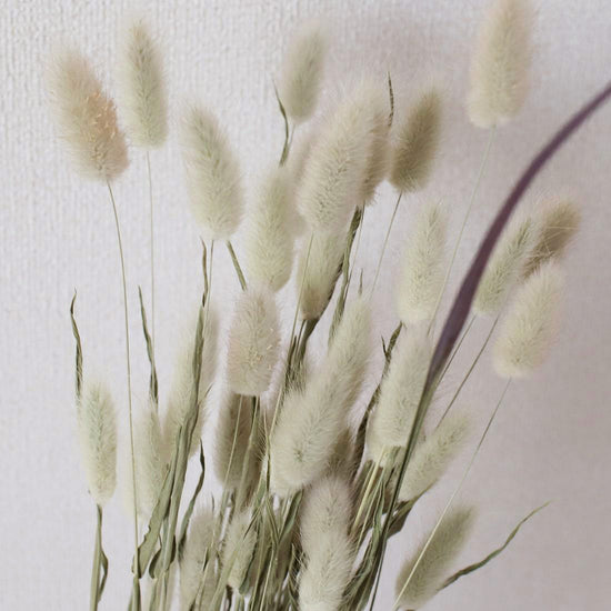 ［ドライフラワー］バニーテール